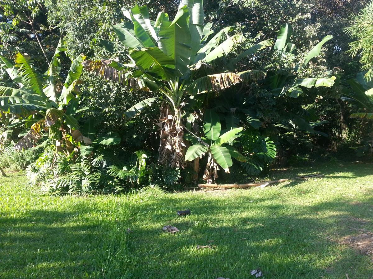 Hotel Los Amigos Puerto Iguazú Exteriör bild